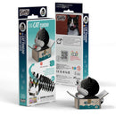 EUG 3D Cardboard Model Kit - Pets & Plants