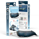 EUG 3D Cardboard Model Kit - Water