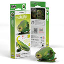 EUG 3D Cardboard Model Kit - Bird + Sky