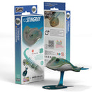 EUG 3D Cardboard Model Kit - Water