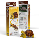 EUG 3D Cardboard Model Kit - Reptiles & Insects