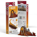 EUGY 3D Puzzle Model Kit