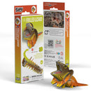 EUG 3D Cardboard Model Kit - Reptiles & Insects
