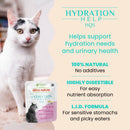 Almo Nature Hydration Help HQS Salmon Recipe in Broth Cat Food 50g
