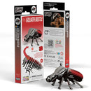 EUG 3D Cardboard Model Kit - Reptiles & Insects