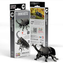 EUG 3D Cardboard Model Kit - Reptiles & Insects