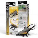 EUG 3D Cardboard Model Kit - Reptiles & Insects