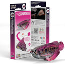 EUG 3D Cardboard Model Kit - Water