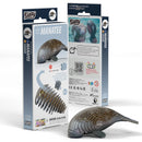 EUG 3D Cardboard Model Kit - Water