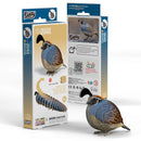 EUG 3D Cardboard Model Kit - Bird + Sky