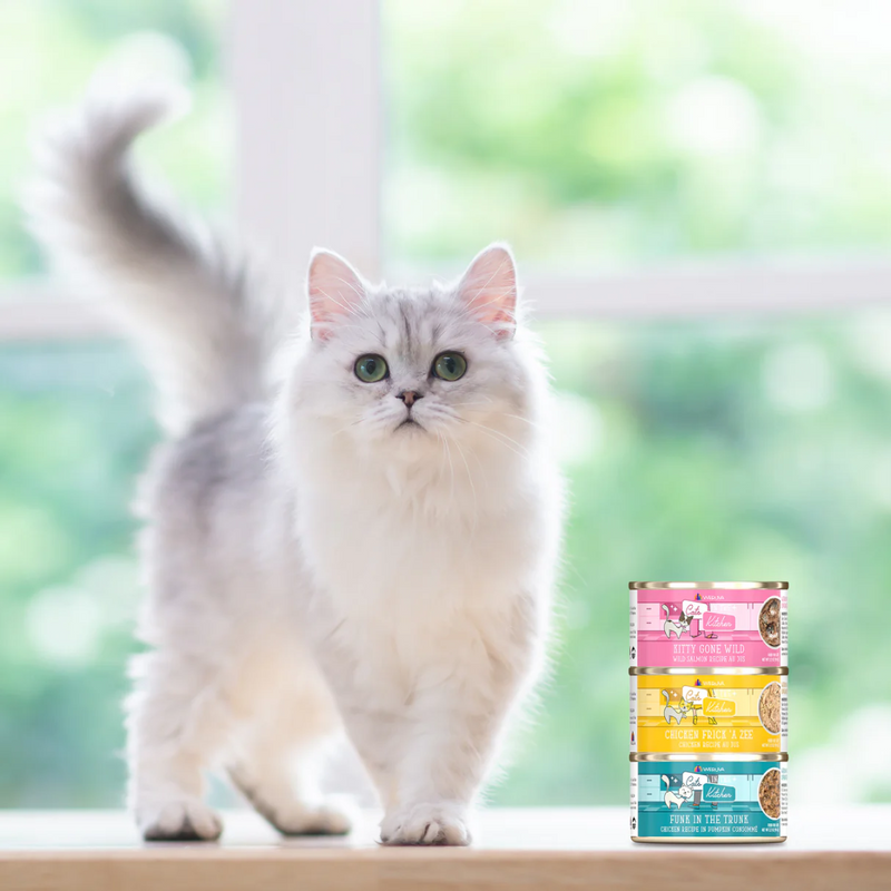 Weruva Cats in the Kitchen Chicken Frick 'A Zee Wet Cat Food 170g
