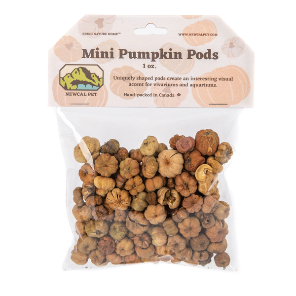 NewCal Pet Mini Pumpkin Pods 1oz