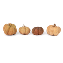 NewCal Pet Mini Pumpkin Pods 1oz