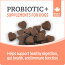 Nutrience Care Probiotic+ Supplement for Dogs 400g