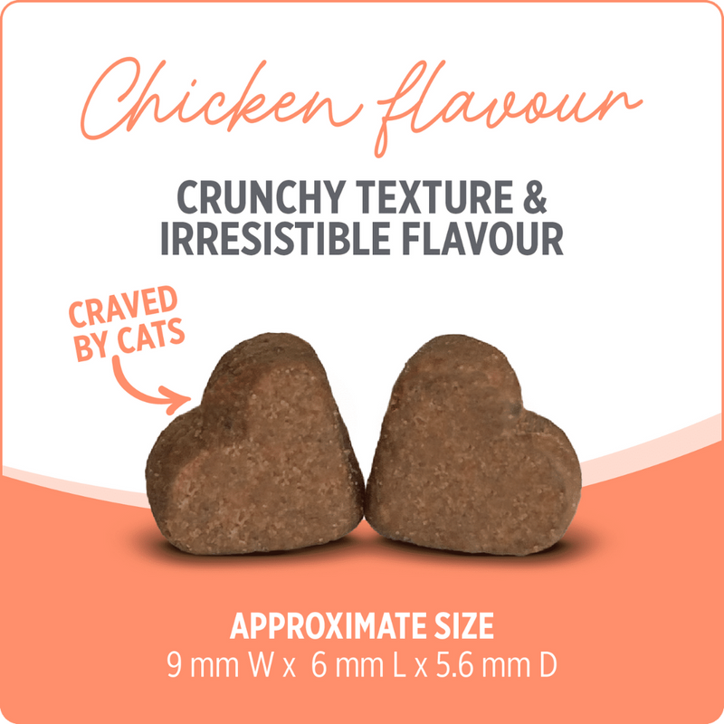 Nutrience Care Probiotic+ Supplement for Cats 180g