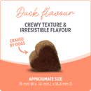 Nutrience Care Probiotic+ Supplement for Dogs 400g