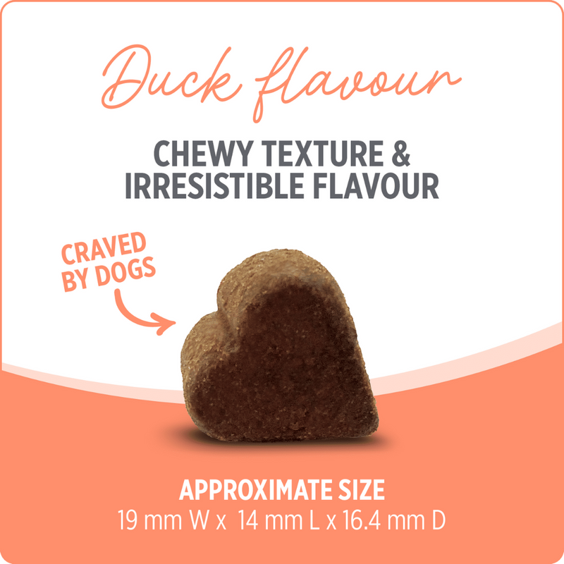 Nutrience Care Probiotic+ Supplement for Dogs 400g