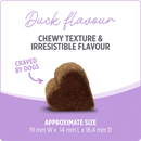 Nutrience Care Hip & Joint+ Supplement for Dogs 400g