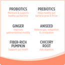 Nutrience Care Probiotic+ Supplement for Dogs 400g