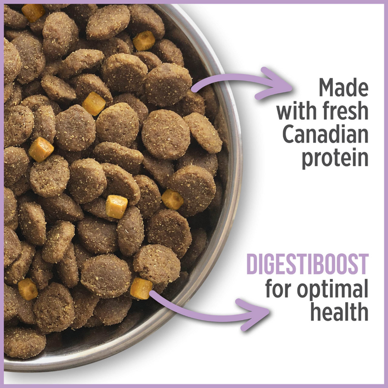 Nutrience Care Weight Management Dog Food