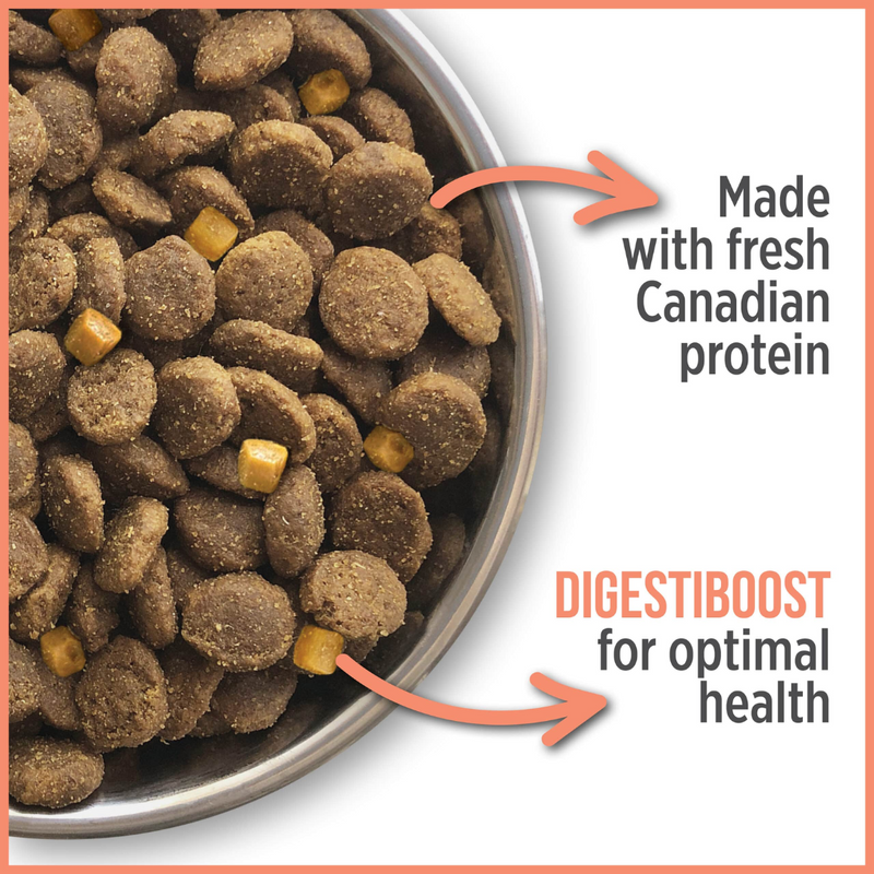 Nutrience Care Sensitive Skin & Stomach Dog Food