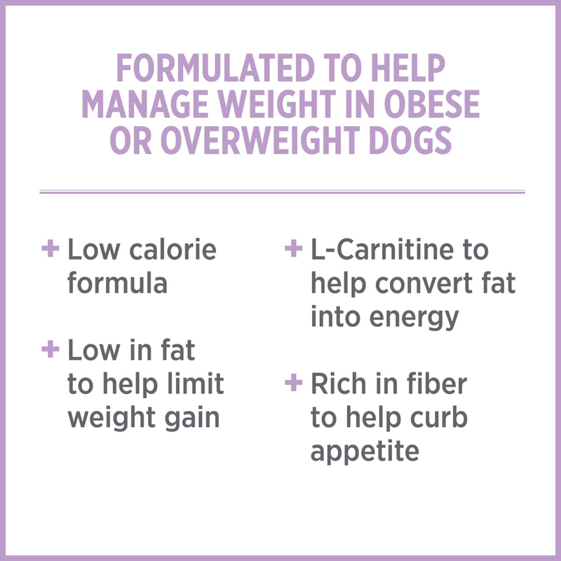 Nutrience Care Weight Management Dog Food