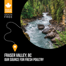 Nutrience SubZero Fraser Valley Large Breed Dog Food 10kg