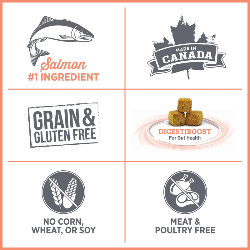 Nutrience Care Sensitive Skin & Stomach Dog Food