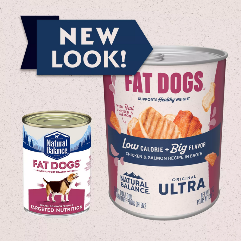 Natural Balance Fat Dogs Chicken & Salmon Recipe in Broth Wet Dog Food 368g