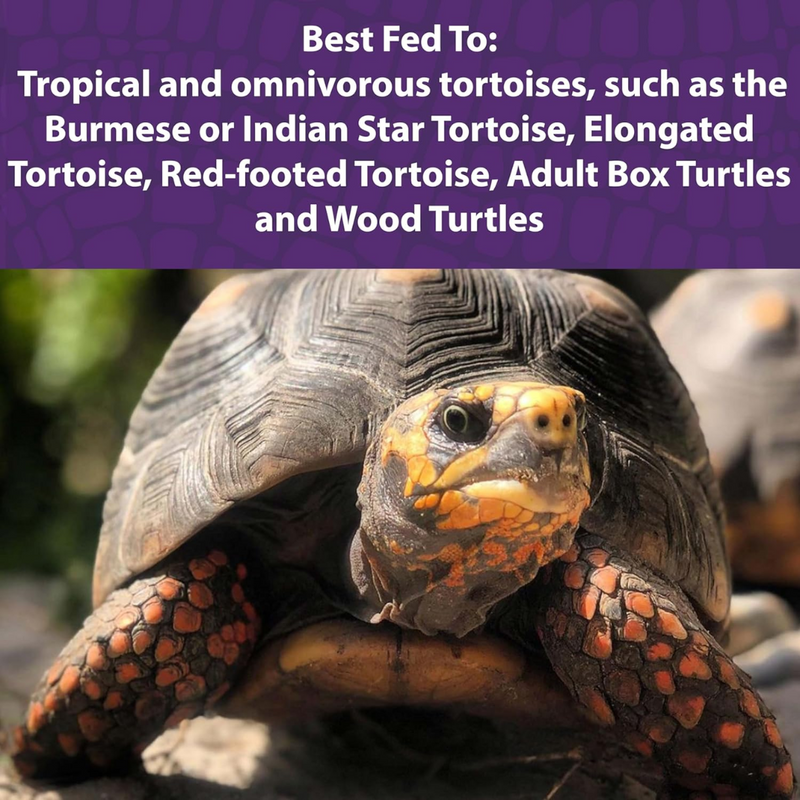 Mazuri Tortoise Diet 566g
