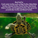 Mazuri Aquatic Turtle Diet 340g