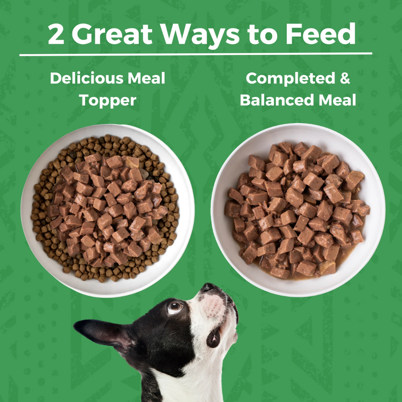 Koha Minimal Ingredient Turkey Stew for Dogs 360g