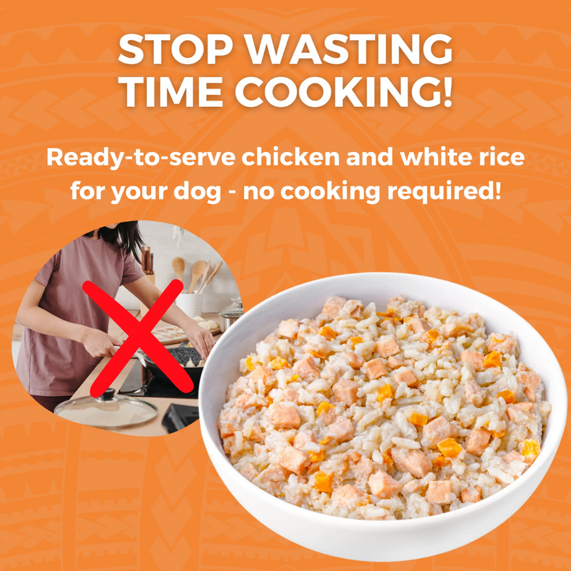 Koha Limited Ingredient Bland Diet Chicken & White Rice Recipe for Dogs 355g