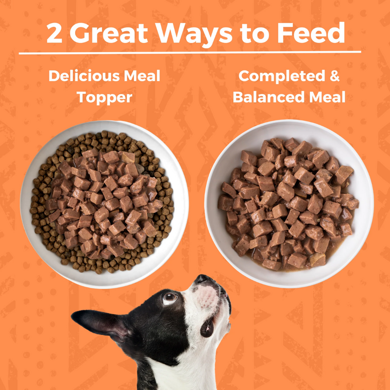 Koha Minimal Ingredient Chicken Stew for Dogs 360g