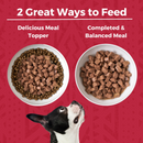 Koha Minimal Ingredient Beef Stew for Dogs 360g