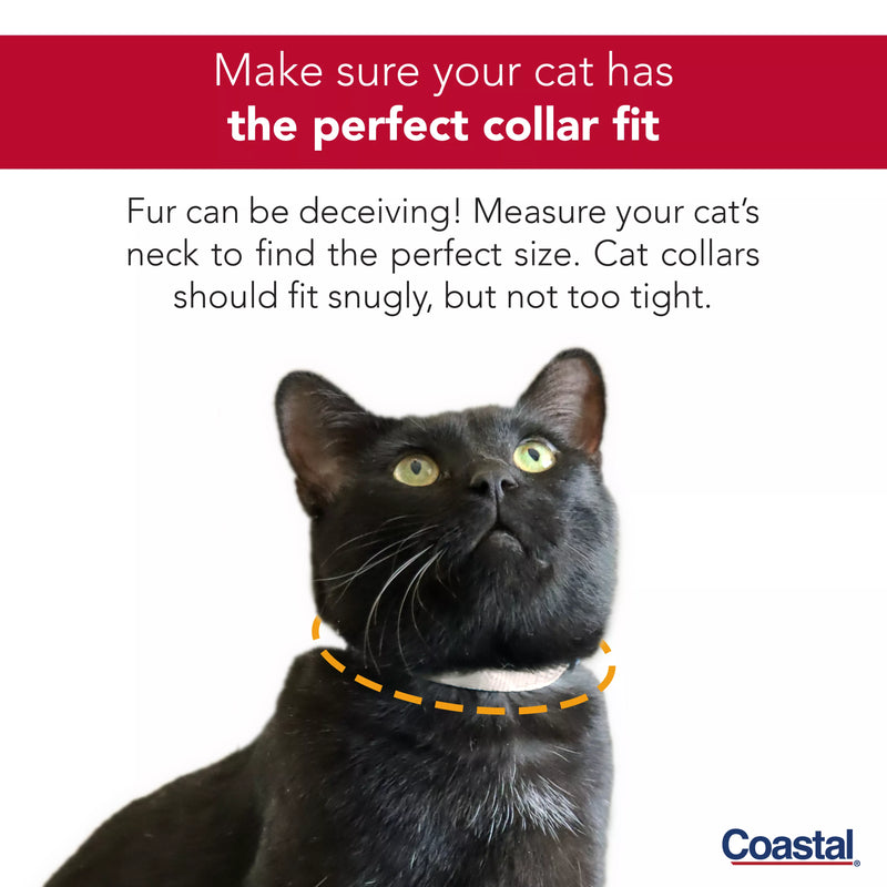 Coastal Pet Safe Cat Adjustable Snag-Proof Breakaway Collar Sunset Orange