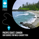 Nutrience SubZero Canadian Pacific High Protein Dog Food 1.8kg