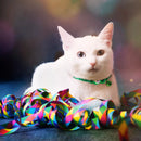 Coastal Pet Safe Cat Jeweled Adjustable Breakaway Collar Sunset Orange