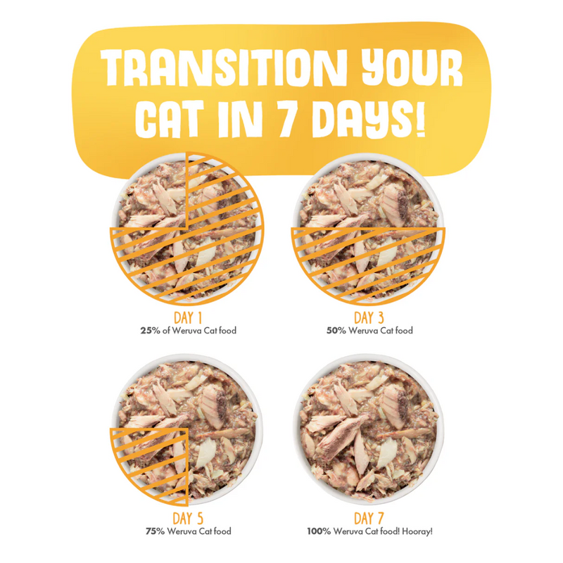Weruva Classic Amazon Livin' Wet Cat Food 85g