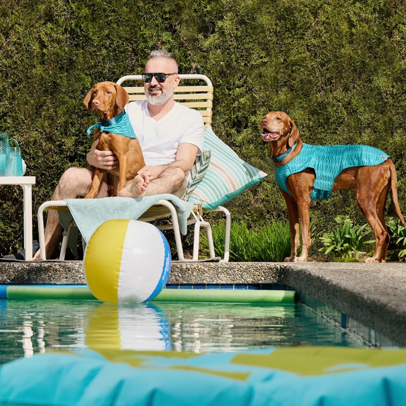 RC Pets Zephyr Cooling Vest - Multi Stripes