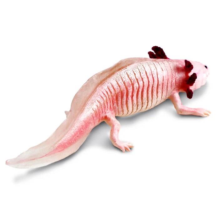 Safari Ltd. Axolotl