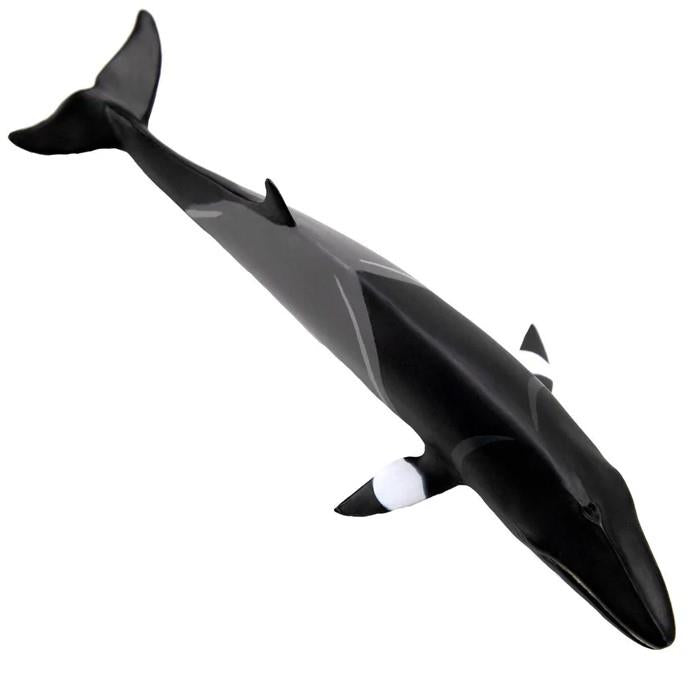 Safari Ltd. Minke Whale