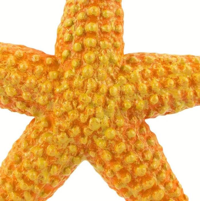 Safari Ltd. Orange Starfish