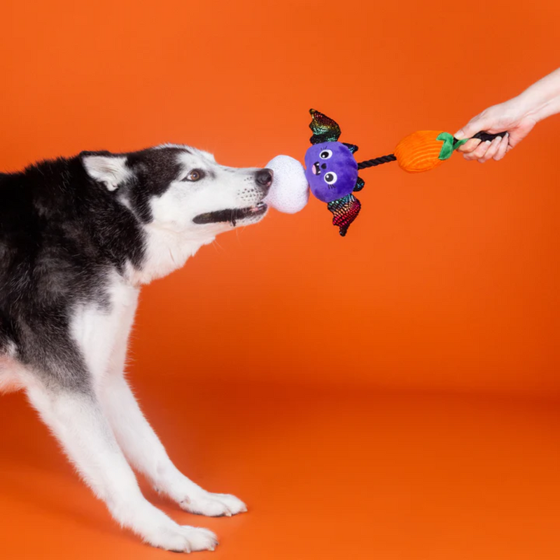 Fringe Studio Literally Dead Cute Rope Dog Toy