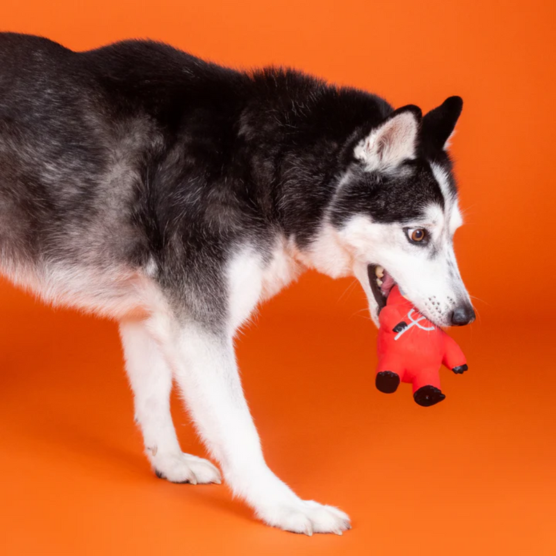 Fringe Studio A Little Hotheaded Latex Dog Toy