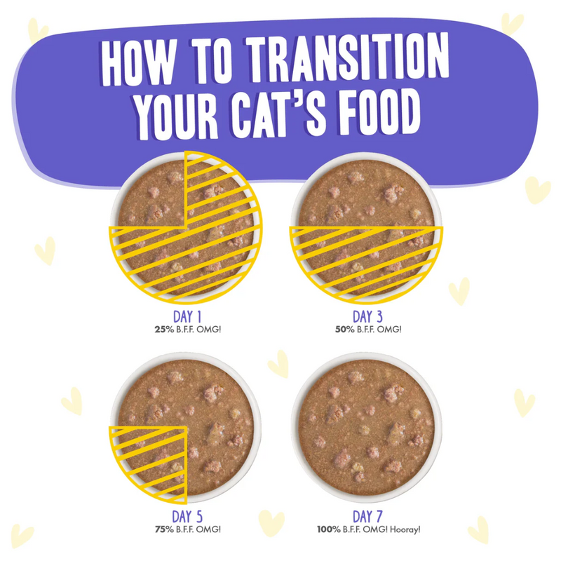 Weruva BFF OMG Gravy Chicken & Beef Be Happy Wet Cat Food 156g
