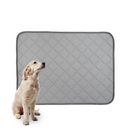 Peter's Washable Pee Pad