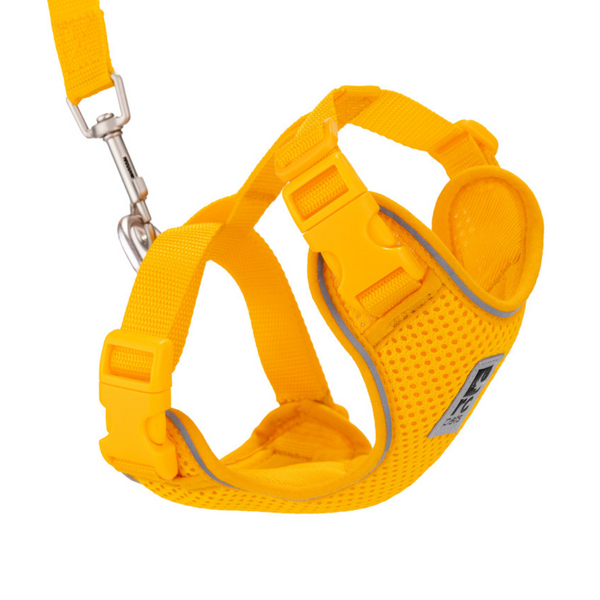 RC Pets Adventure Kitty Harness Marigold
