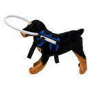 Peters Happy Hounds Dog Halo