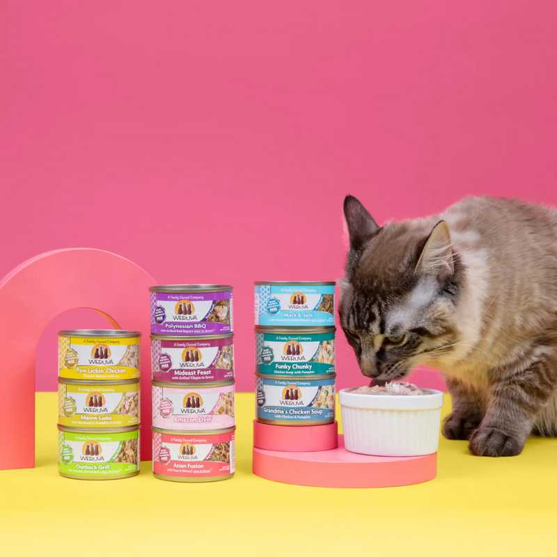 Weruva Classic Amazon Livin' Wet Cat Food 85g
